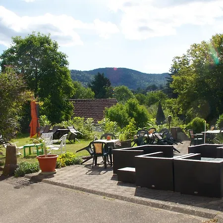 Daire Du Sendenbach *